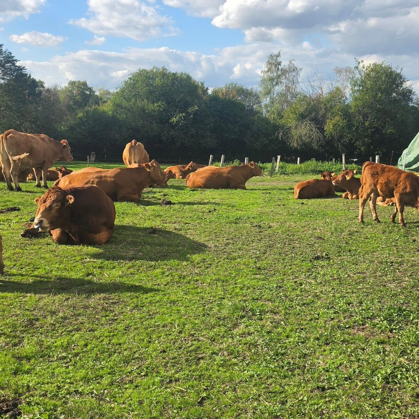 🌾 Heute mal keine Maschine. Sondern der Grund, warum das Ganze zählt. Bei Landwirtschaft geht es am Ende nicht nur um Technik, Leistung oder Verbrauch. Es geht…